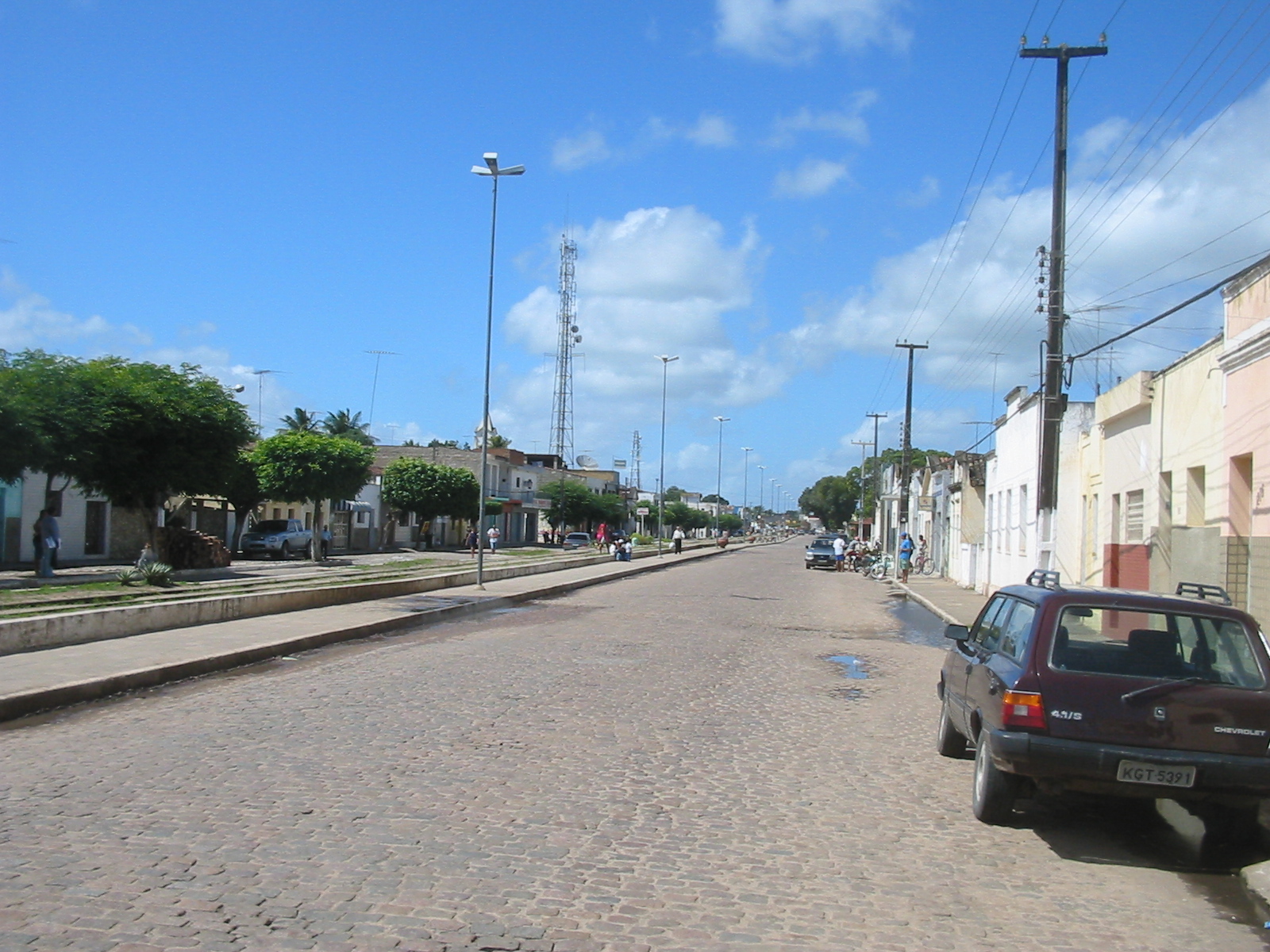 Imagem de referência de Sapê, descrito nos dados abertos como espécie de planta