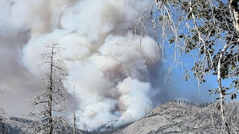 Tragedia en Yosemite: murieron dos personas al estrellarse un helicóptero que combatía un incendio forestal