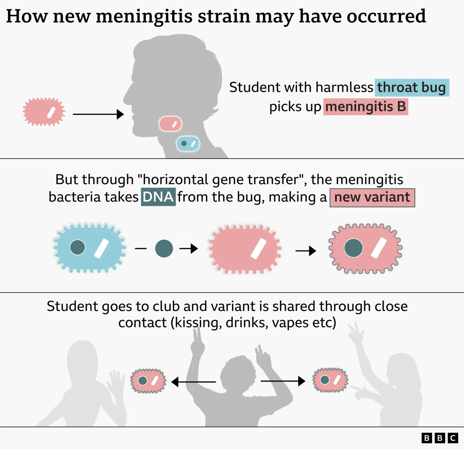 BBC News Illustration of how horizontal gene transfer can happen
