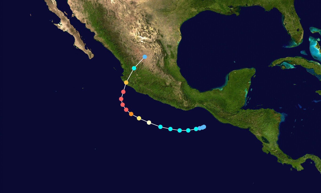 La Trayectoria De Patricia En 2015