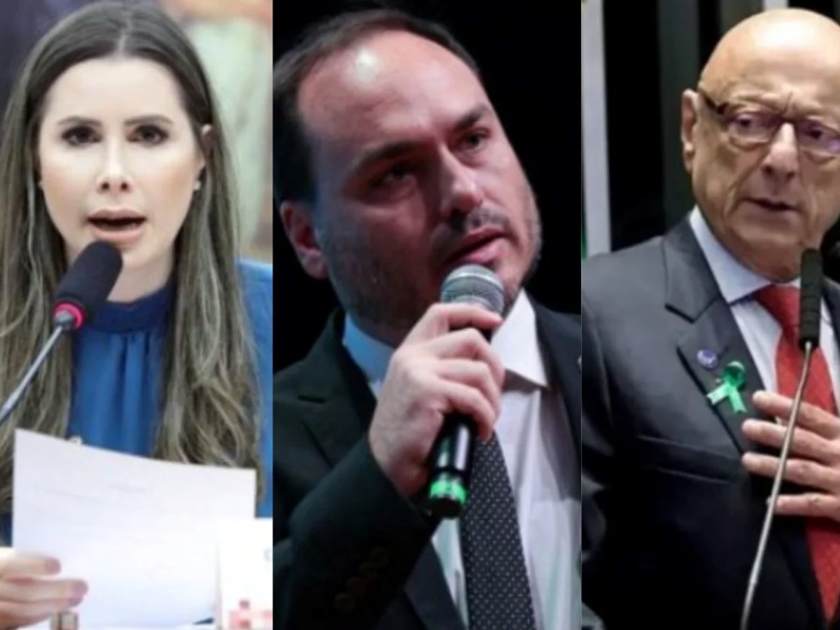 Carol de Toni tem 42,3% ao Senado; Carlos e Amin empatam pela 2ª vaga em SC