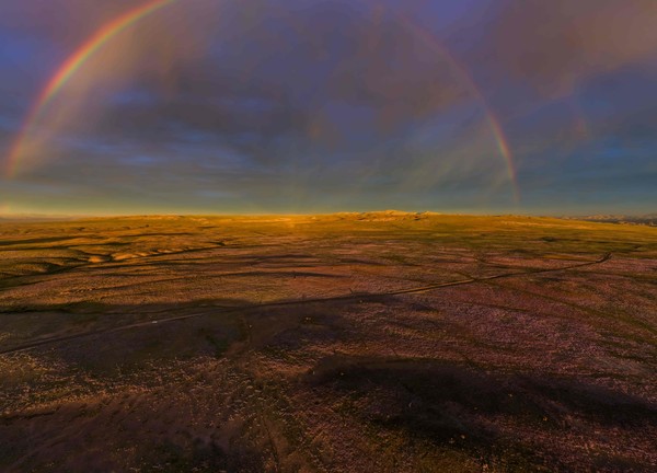 Entre os lugares mais áridos da Terra, Deserto do Atacama floresce após chuvas intensas provocadas pelo El Niño