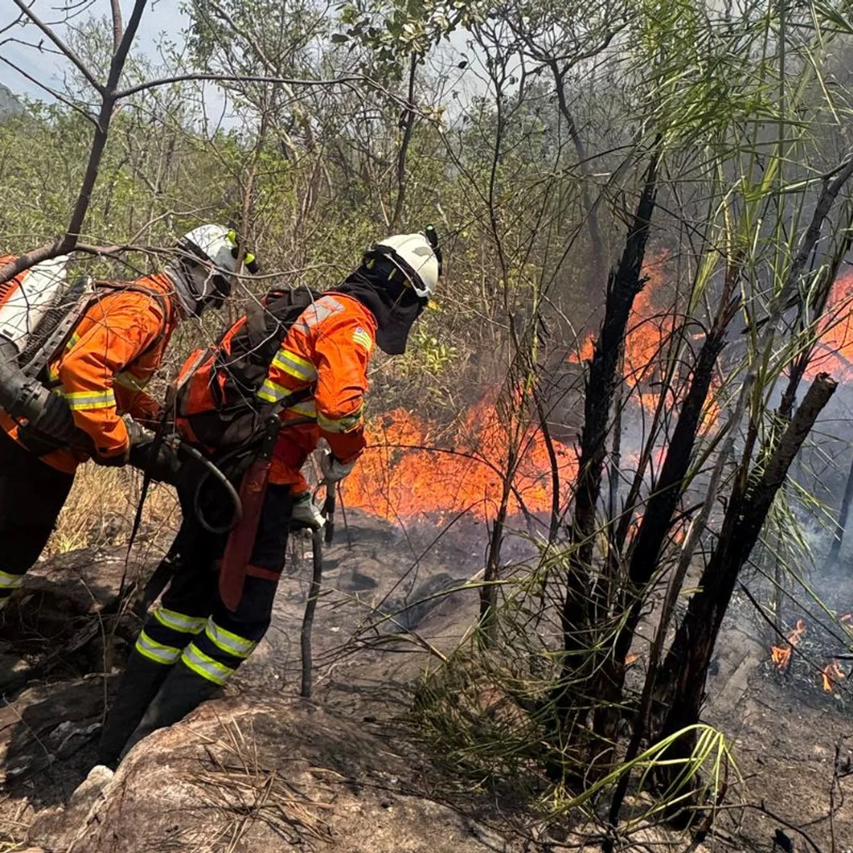 Raio provoca incêndio em área de difícil acesso na Chapada dos Veadeiros