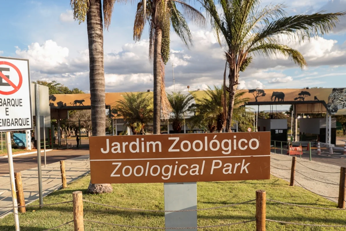 Zoo de Brasília terá ressarcimento para visitantes de dois programas