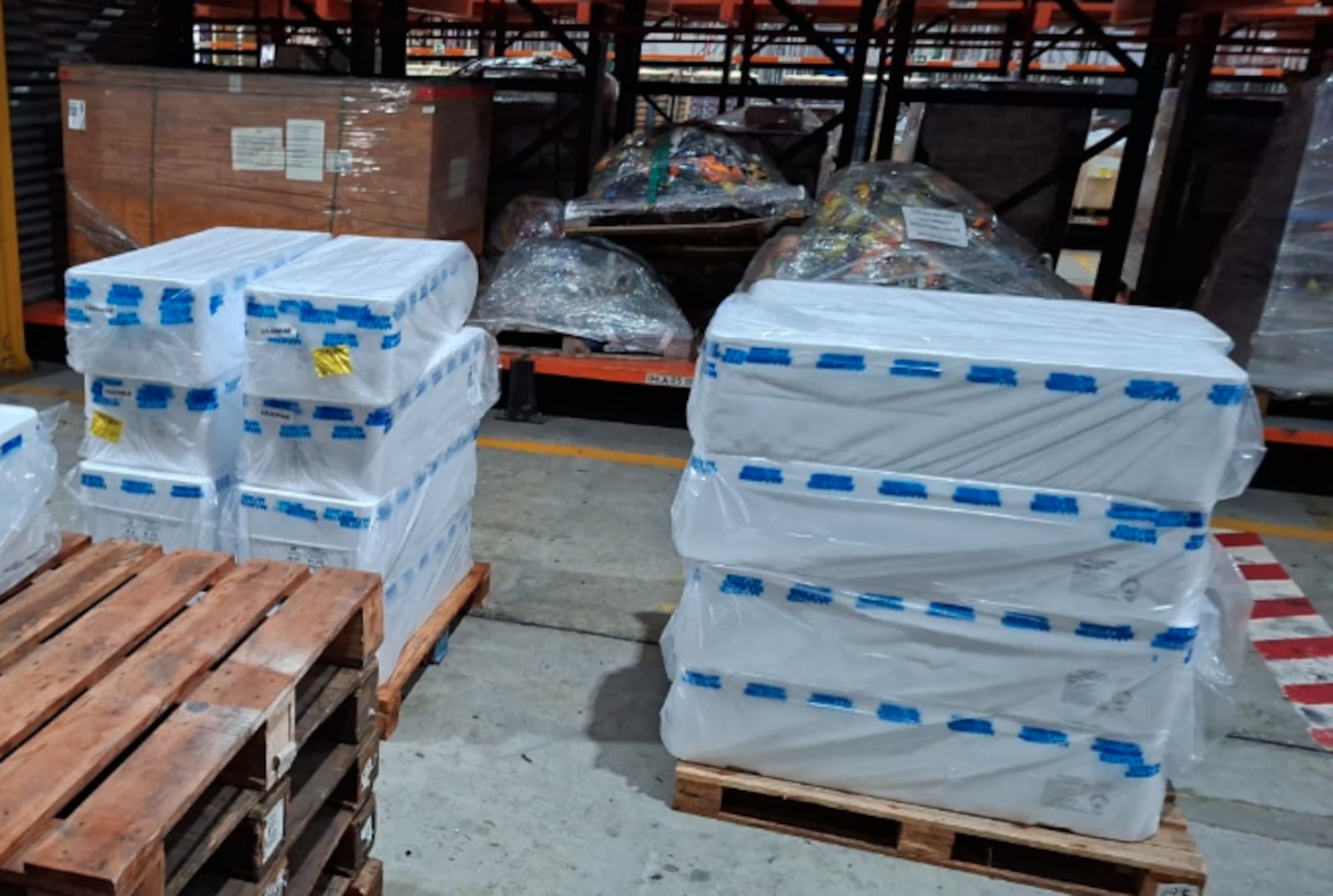 Pescado sem comprovação de origem foi apreendido no terminal de cargas do Galeão Reprodução/Receita Federal
