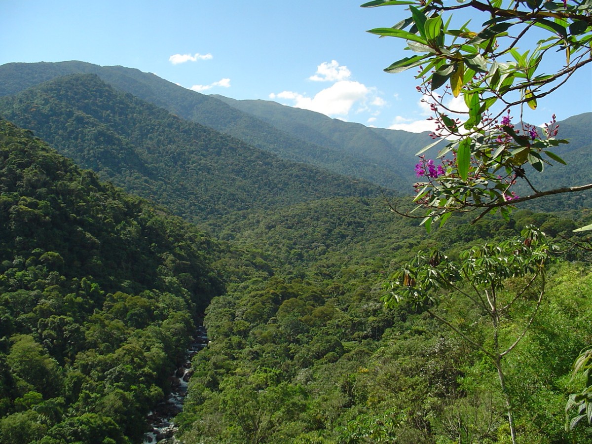 Visitação recorde em parques evidencia potencial do turismo de natureza