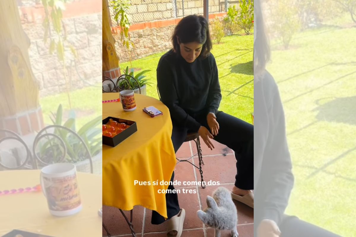 Menino resgata filhote em estrada e descobre que cachorro é albino e surdo
