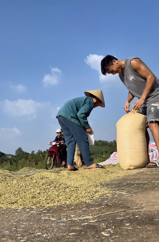 O goleiro Bùi Tiến Dũng voltou à terra natal para secar o arroz para a mãe