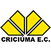 Imagem da matéria: Empate pode tirar o Vasco da zona de rebaixamento do Brasileiro