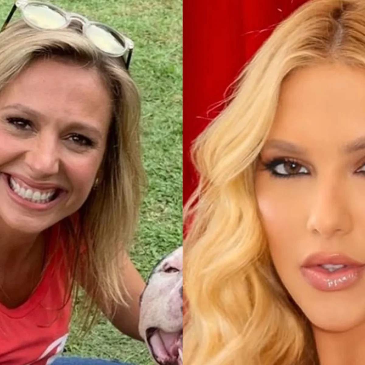 Luísa Mell questiona dinheiro doado a Virginia: "Me ajudem a entender"