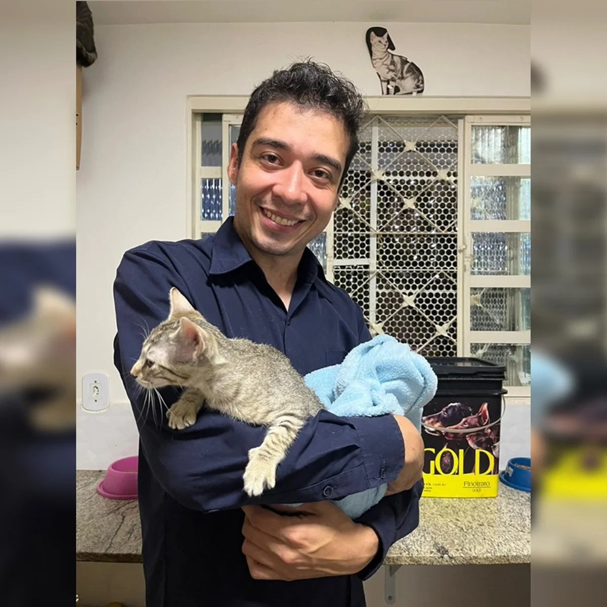 TJDFT adia julgamento de recurso contra psicológo acusado de matar 17 gatos
