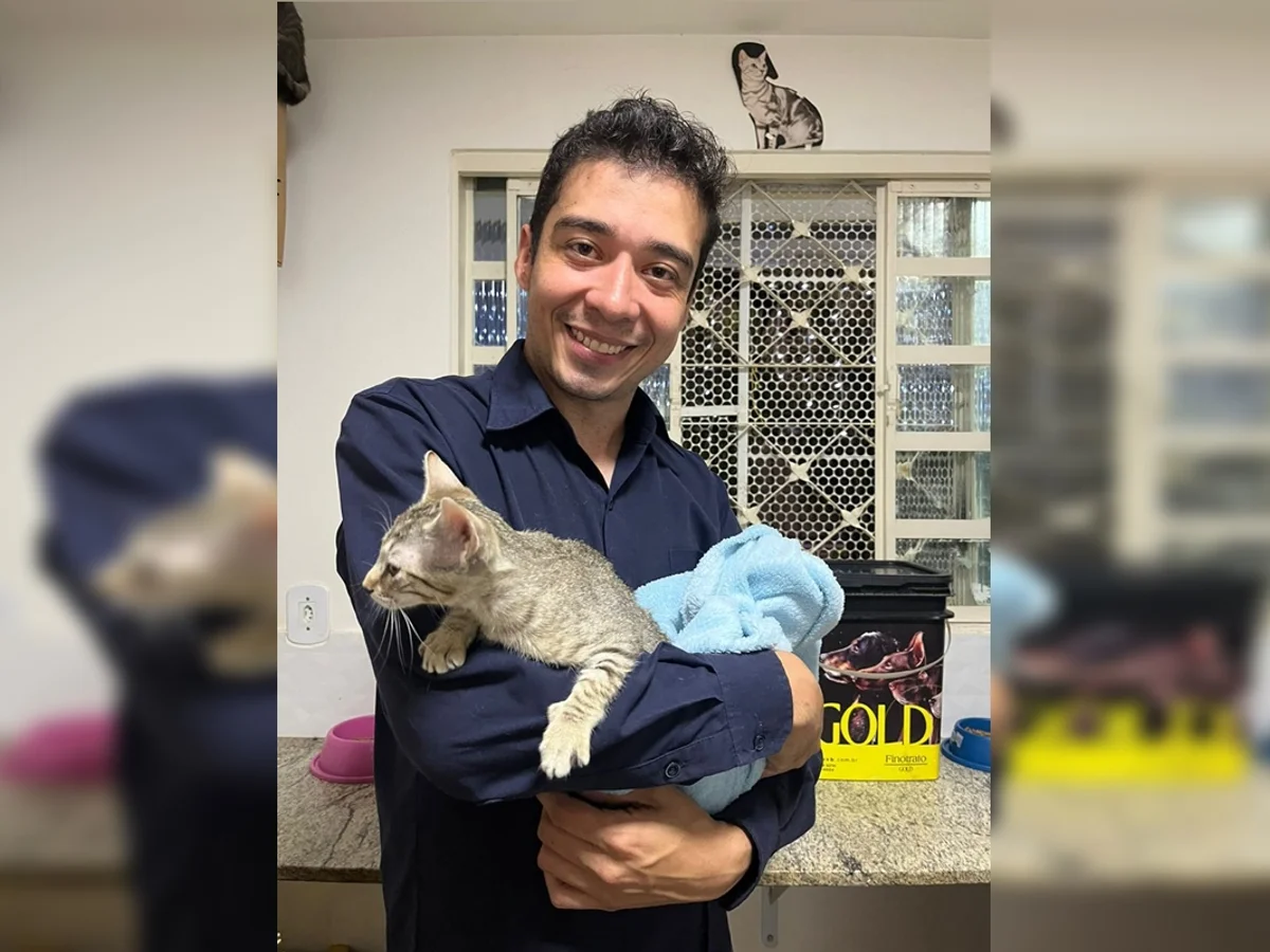 TJDFT adia julgamento de recurso contra psicológo acusado de matar 17 gatos
