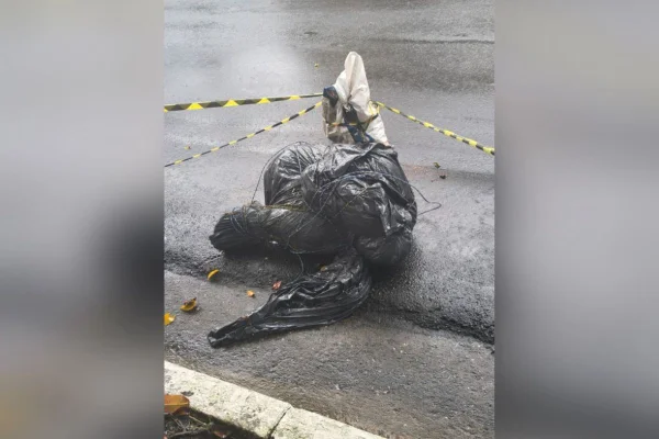 Polícia pede prisão de 10 suspeitos de envolvimento com corpos ensacados