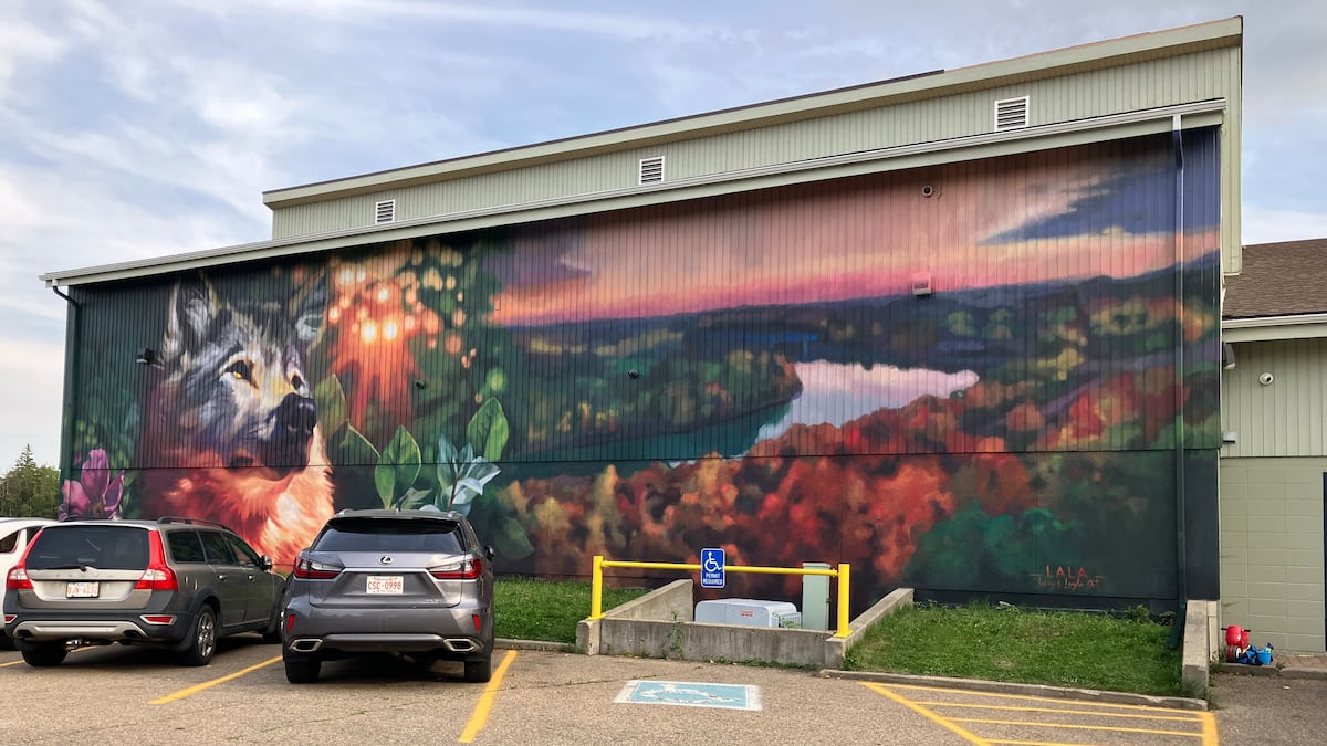 Vibrancy and vandalism: How public art is helping the city of Edmonton