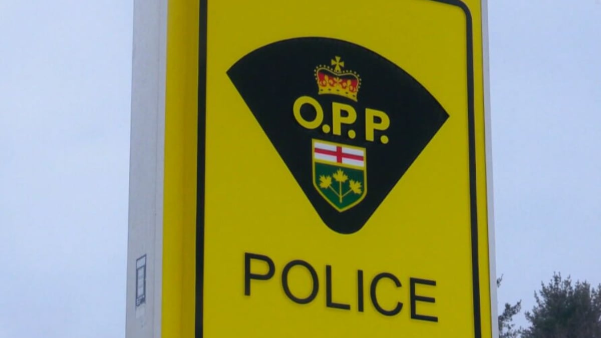 Five suspects receive warning in Tillsonburg weapons incident