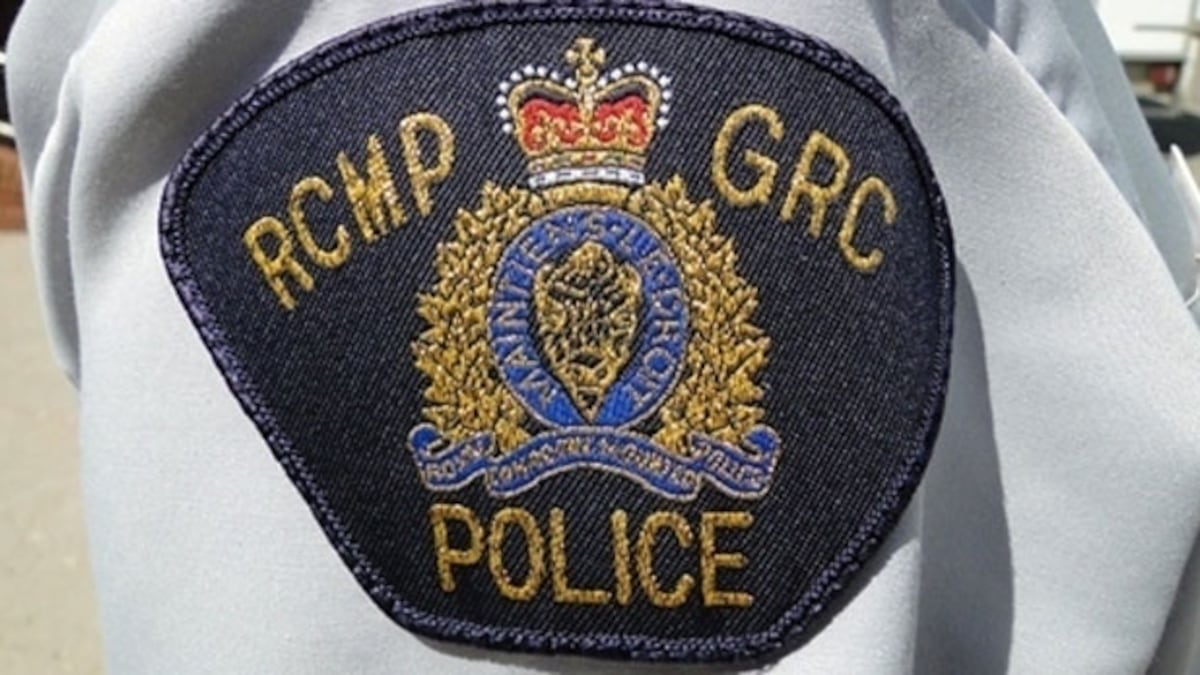 Youth dies after stolen car crashes into trees, power pole: N.S. RCMP