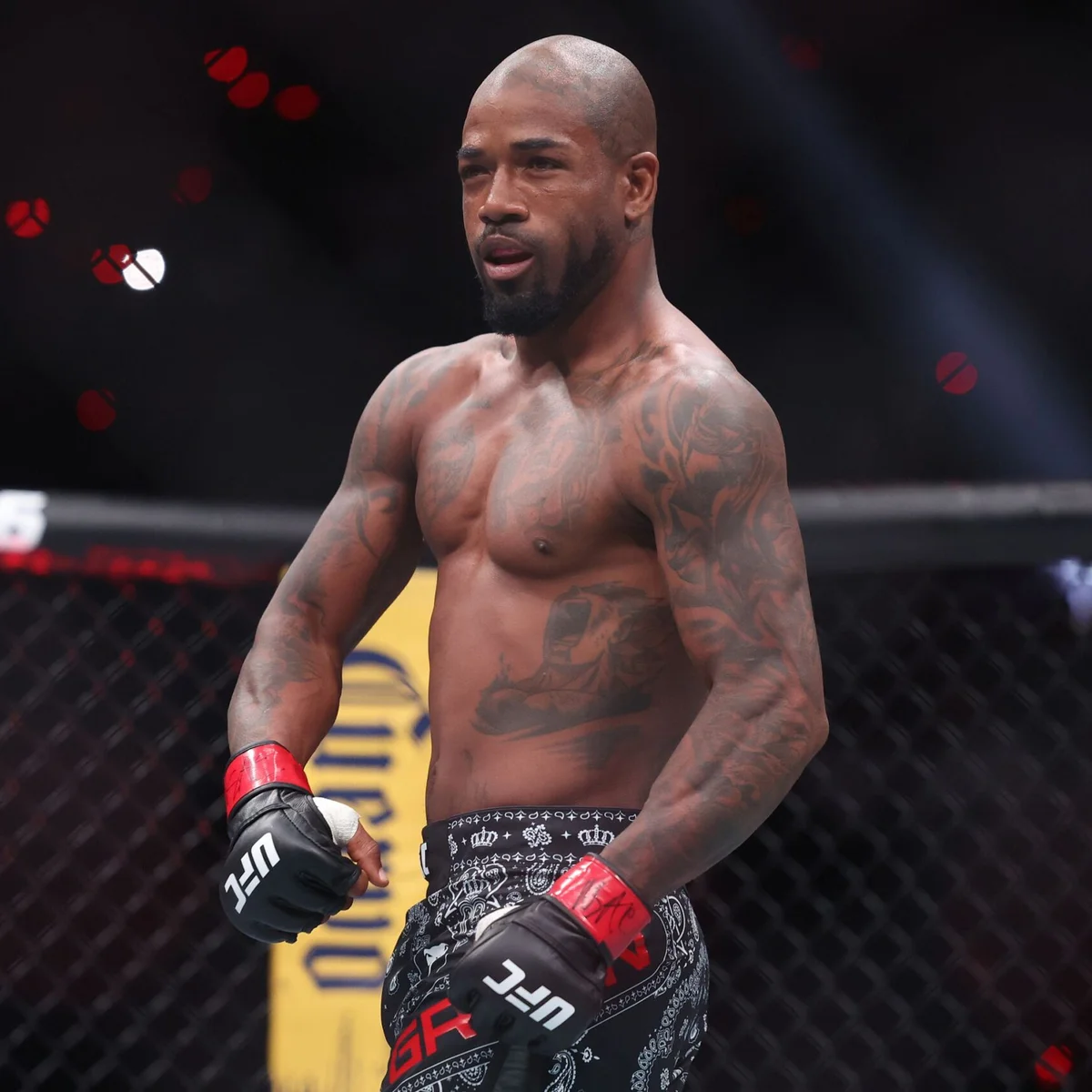 Lutador do UFC se envolve em acidente de carro enquanto fazia live