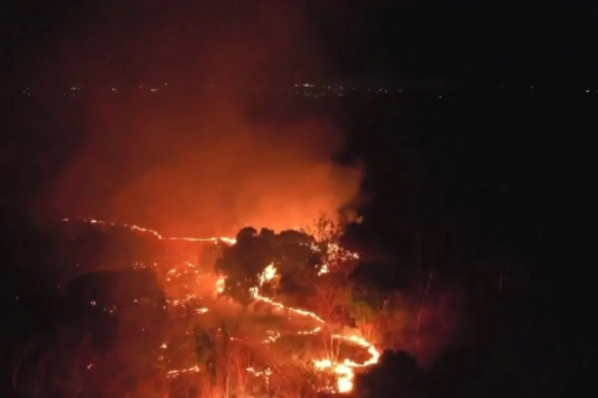 Incêndio em área da Embrapa mobiliza Exército e bombeiros em Teresina (PI)