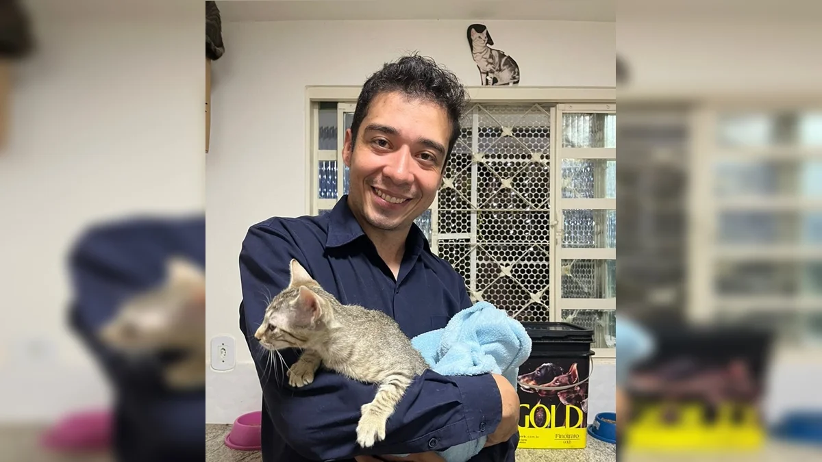 TJDFT adia julgamento de recurso contra psicológo acusado de matar 17 gatos