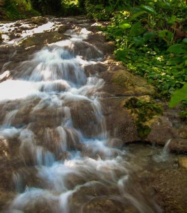 A section of Little Dunn’s River.