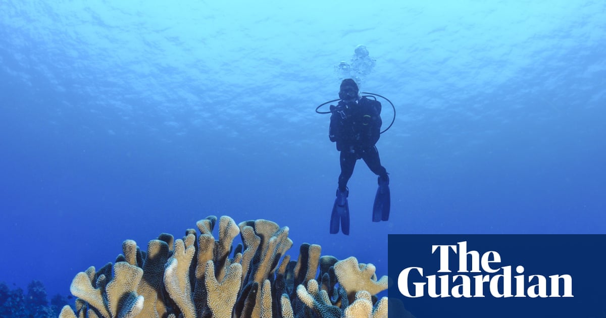 Quase todos os recifes de coral de águas rasas do planeta enfrentam o colapso do ecossistema até 2075, dizem conselheiros da ONU.