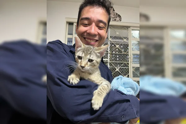 TJDFT adia julgamento de recurso contra psicológo acusado de matar 17 gatos - destaque galeria